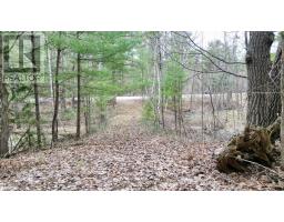2493 Housey's Rapids Road, Kawartha Lakes, ON L0K2B0 Photo 7
