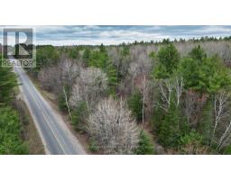 2493 Housey's Rapids Road, Kawartha Lakes, ON L0K2B0 Photo 8