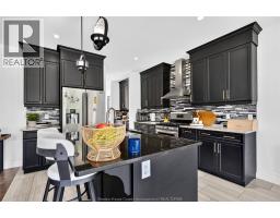 Laundry room - 1343 Monticello Street, Windsor, ON N8P0B8 Photo 12