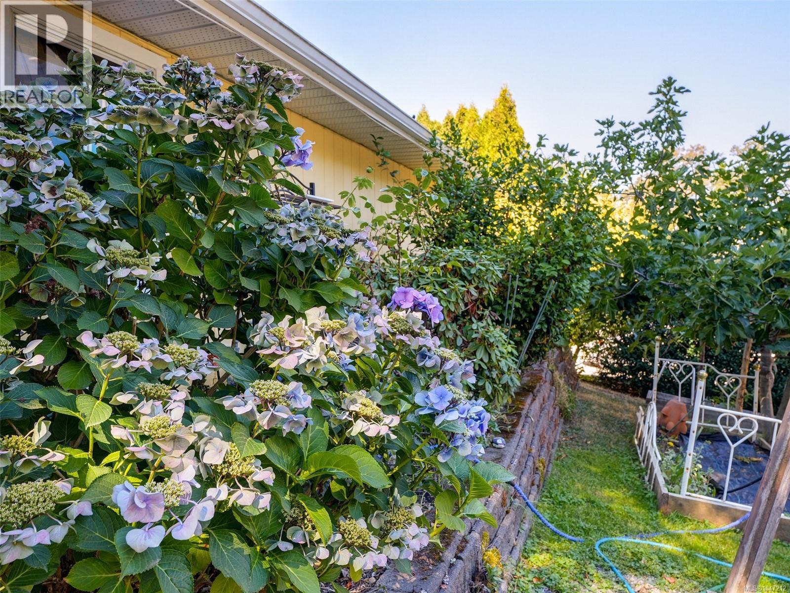 3890 Braefoot Rd - 25
