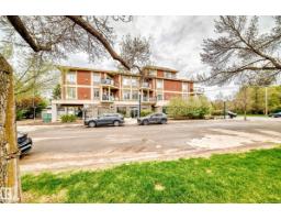 #211 9750 94 St Nw, Edmonton, AB T6C2E3 Photo 45
