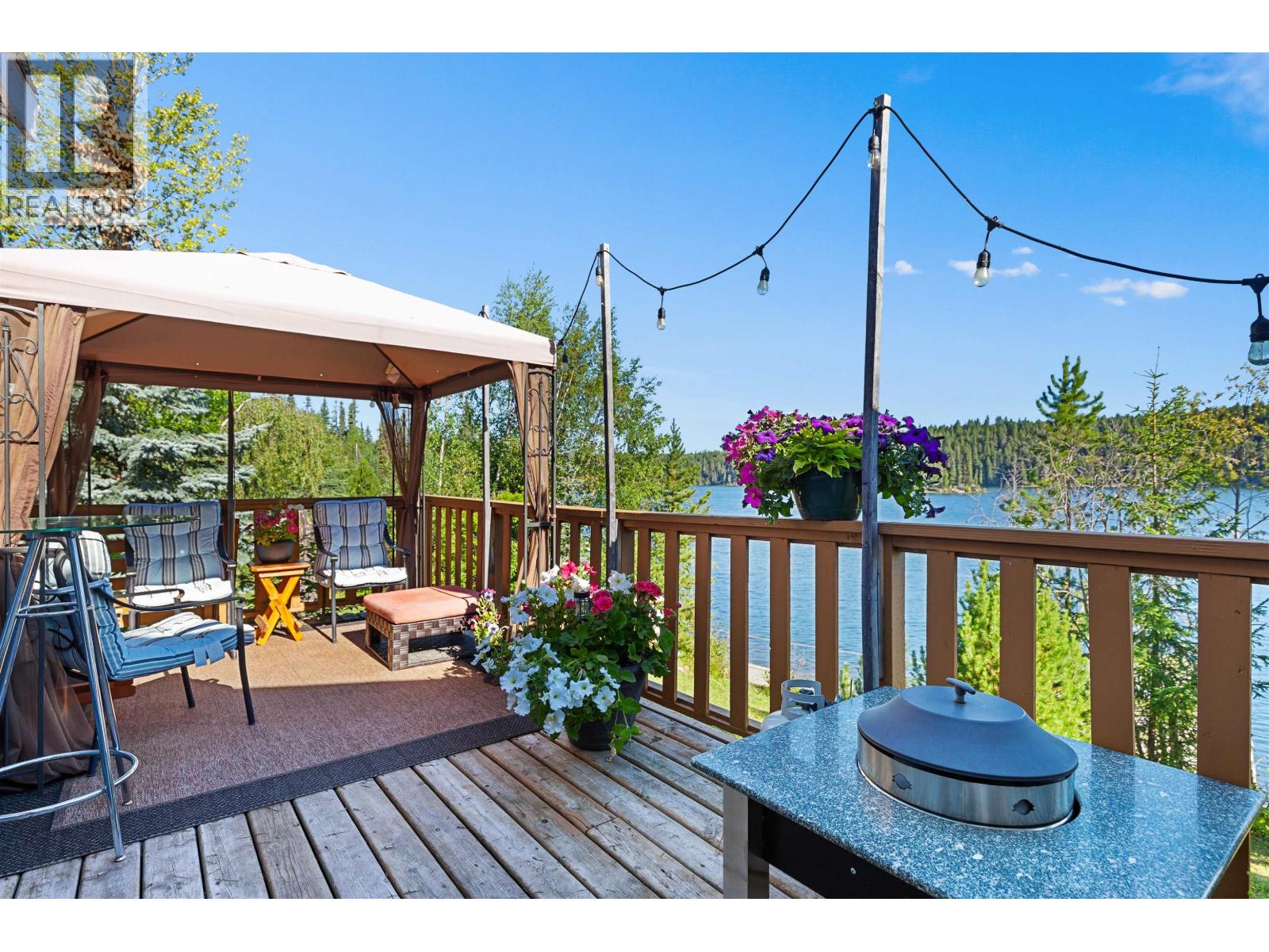 40150 S BEDNESTI LAKE ROAD - 22