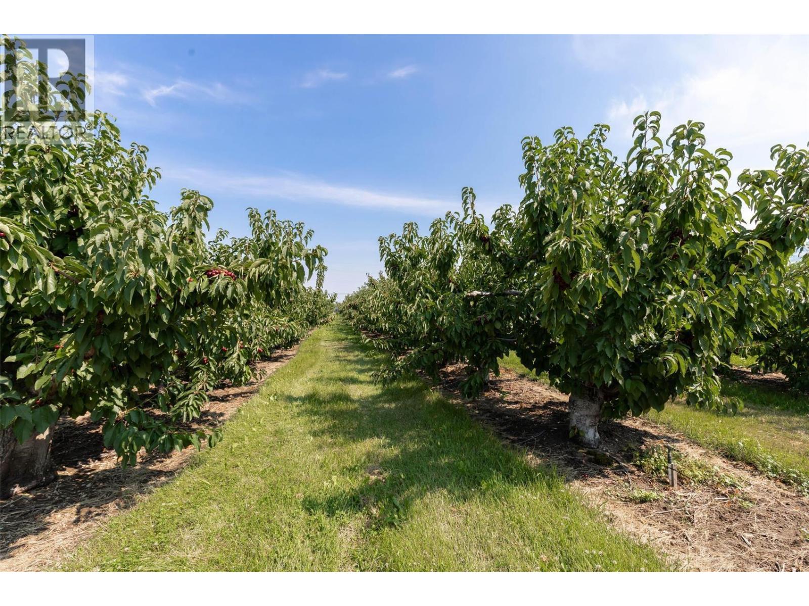 1409 + 1429 Teasdale Road - 57