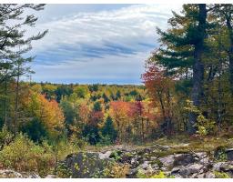 19 Ch. Des Roches, La Peche, QC J0X3G0 Photo 31