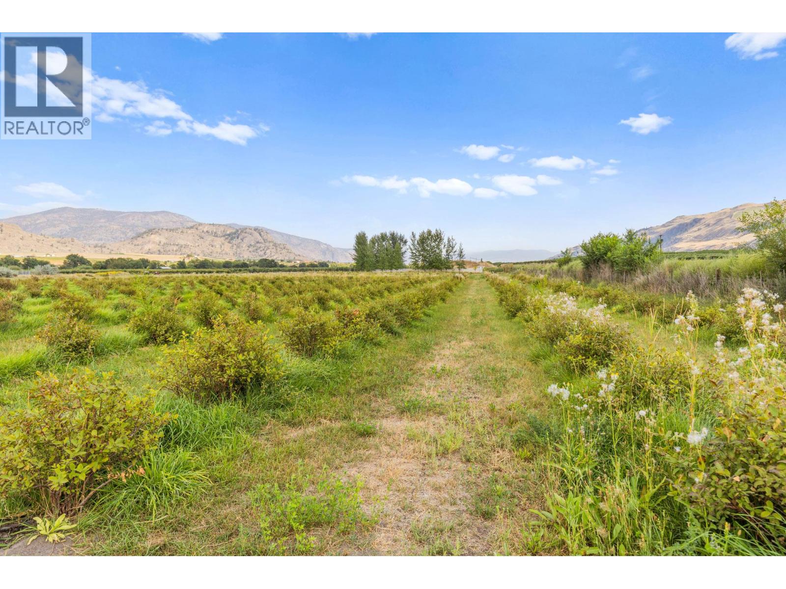 294 ROAD 18 Road, Oliver