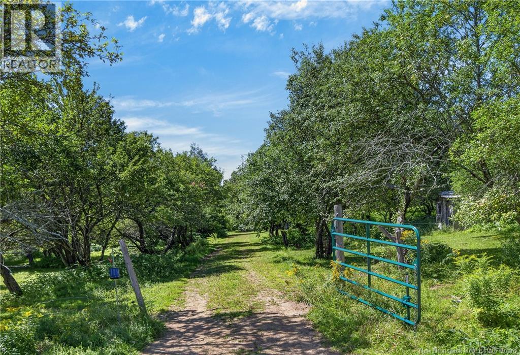 240 English Settlement Road - Image 41