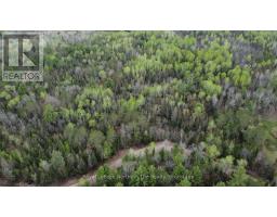 Lot 16 Part 2, Suzannes Road, Calvin, ON P0H1V0 Photo 6