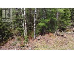 Lot 16 Part 2, Suzannes Road, Calvin, ON P0H1V0 Photo 7