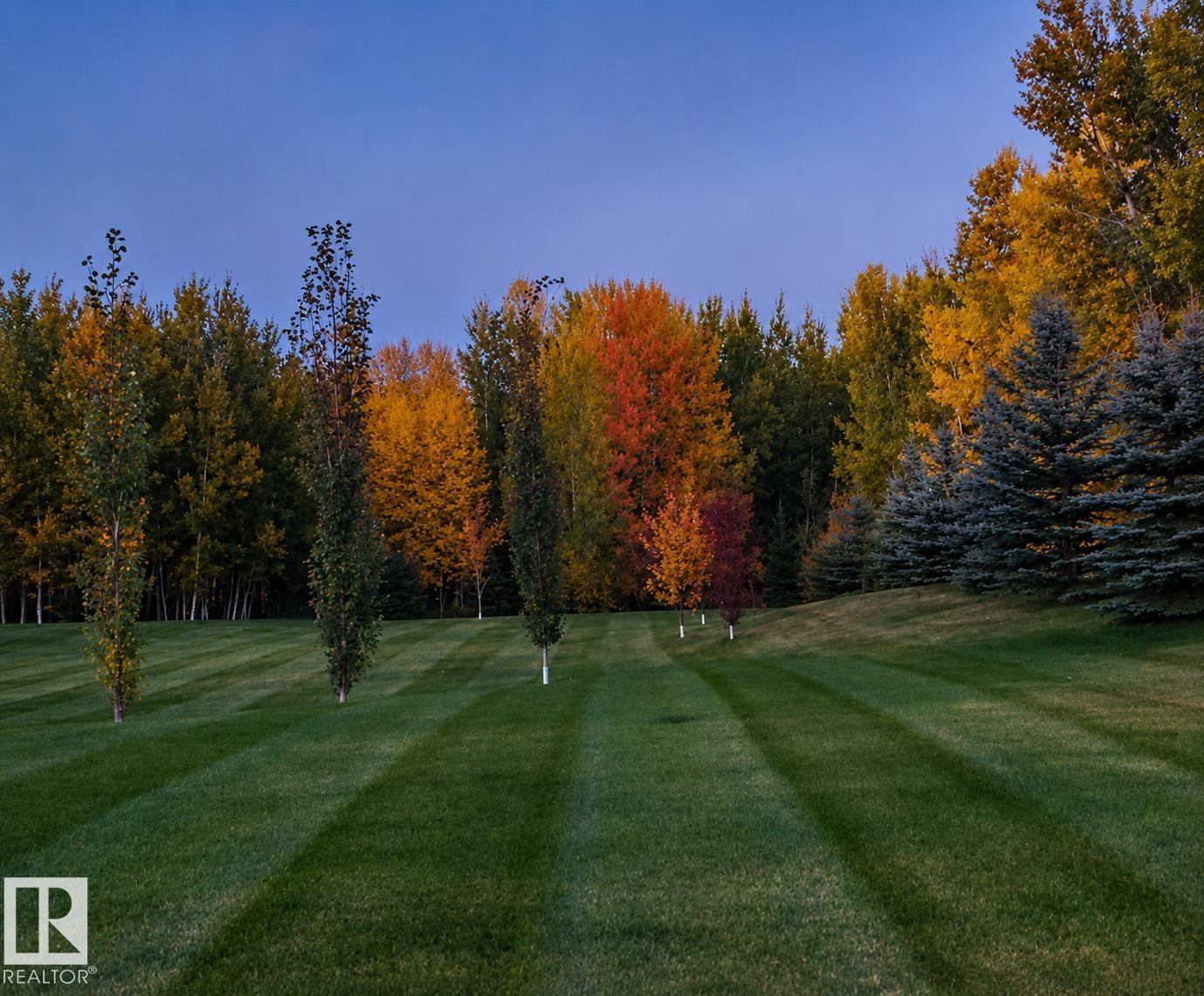 #6 53009 RGE ROAD 20 - Image 47