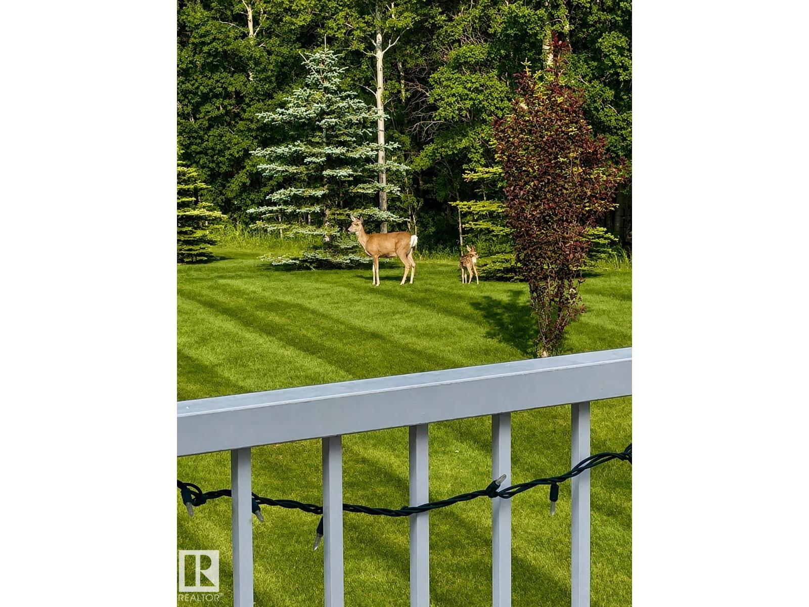 #6 53009 RGE ROAD 20 - Image 48