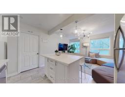 B - 61 Cameron Street, Toronto, ON M5T2H1 Photo 7