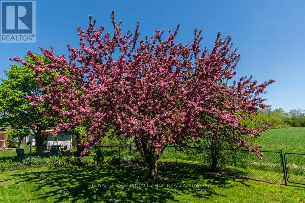 51 APPLEWOOD DRIVE - Image 36