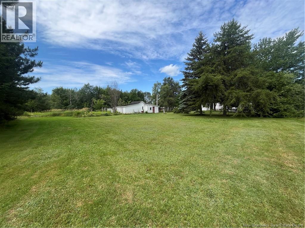 6 Barrieau Street - 6