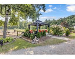 1684 4th Concession Road, Norfolk, ON N0E1P0 Photo 42