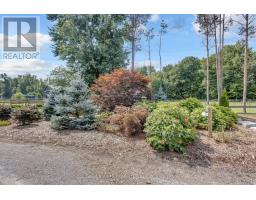 1684 4th Concession Road, Norfolk, ON N0E1P0 Photo 44