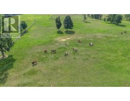 1684 4th Concession Road, Norfolk, ON N0E1P0 Photo 46
