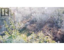 Lot Shore Road W, Delaps Cove, NS B0P1E0 Photo 9