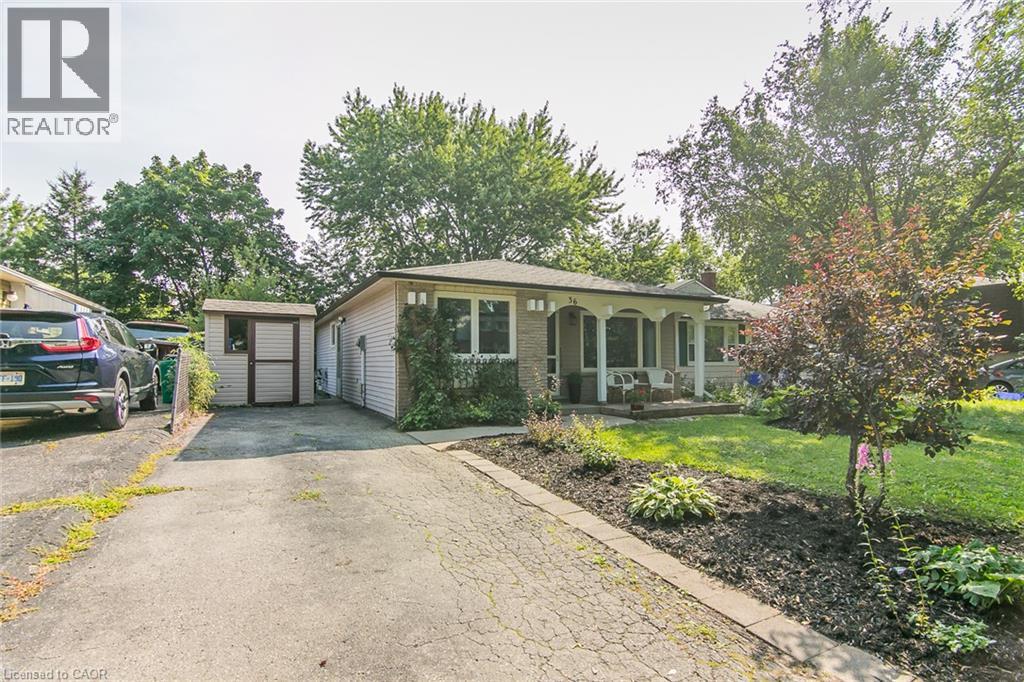 36 AMOS Avenue - 1