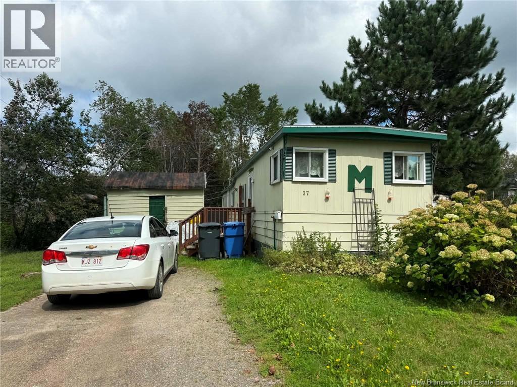 37 Bradd Street - 1