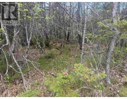 Lot A & B Highway 332, Bayport, NS B0J2X0 Photo 6