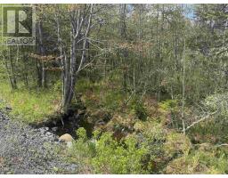 Lot A & B Highway 332, Bayport, NS B0J2X0 Photo 7