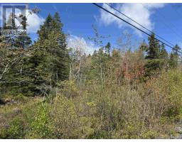 Lot A & B Highway 332, Bayport, NS B0J2X0 Photo 11