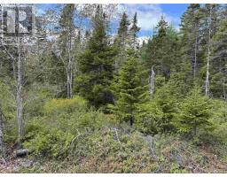 Lot A & B Highway 332, Bayport, NS B0J2X0 Photo 8