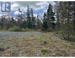 Lot A & B Highway 332, Bayport, NS B0J2X0 Photo 9