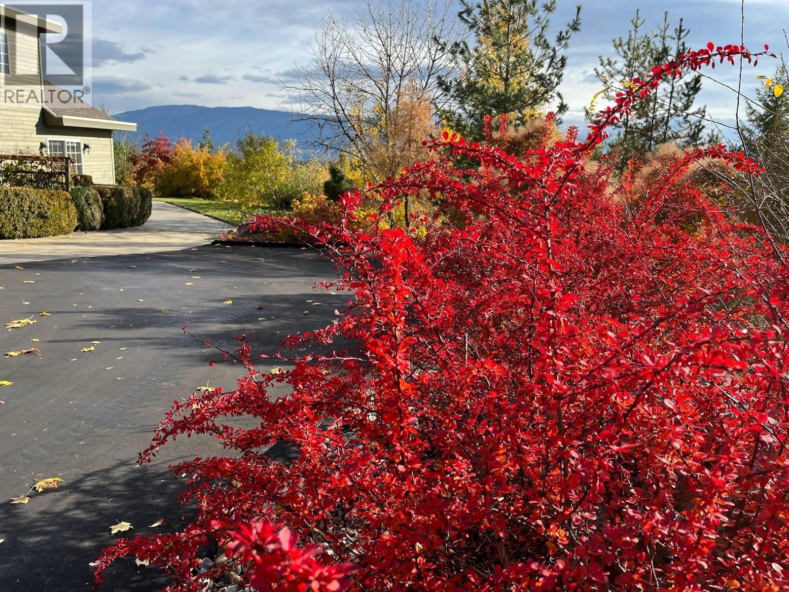  3800 60 Street Northwest, Salmon Arm