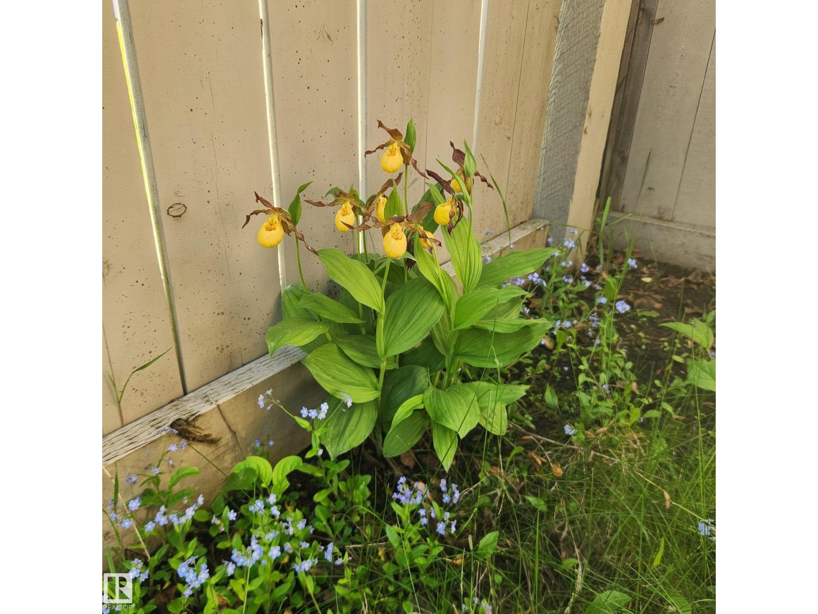 Photo 35