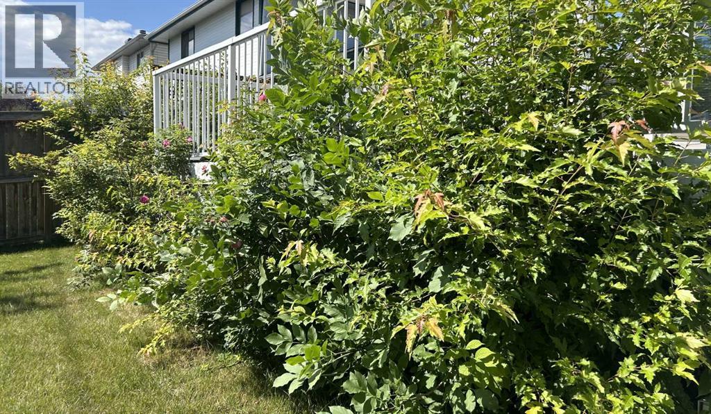 Photo 39