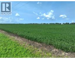 7008 Creek Line, Pain Court, ON N0P1Z0 Photo 11