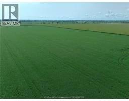 7008 Creek Line, Pain Court, ON N0P1Z0 Photo 8