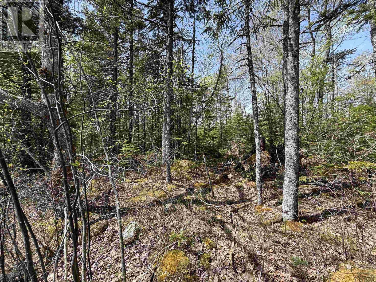 Property 5 of 15 of Lot 7-23 Highway 325