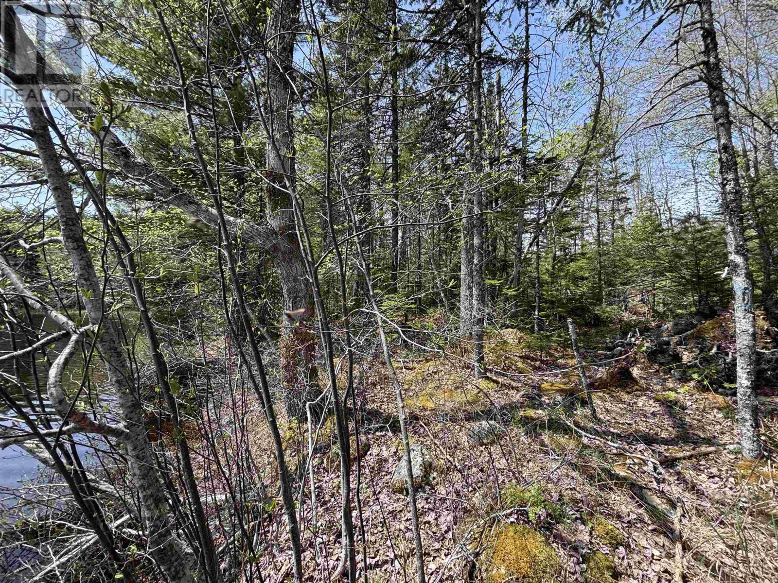 Property 6 of 15 of Lot 7-23 Highway 325