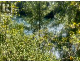 98 Old N Thompson Highway, Clearwater, BC V0E1N2 Photo 39