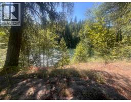 98 Old N Thompson Highway, Clearwater, BC V0E1N2 Photo 42