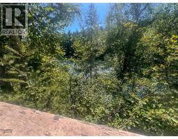 98 Old N Thompson Highway, Clearwater, BC V0E1N2 Photo 40