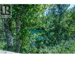98 Old N Thompson Highway, Clearwater, BC V0E1N2 Photo 20