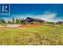 3pc Bathroom - 4, 4141 Township Road 340, Rural Mountain View County, AB T0M1C0 Photo 7