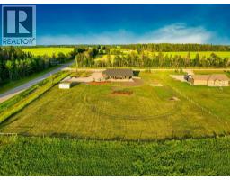 4, 4141 Township Road 340, Rural Mountain View County, AB T0M1C0 Photo 37