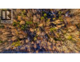 0 Boyd/clarence Ridge Road, Rollingdam, NB E5A2G8 Photo 28