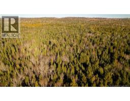 0 Boyd/clarence Ridge Road, Rollingdam, NB E5A2G8 Photo 27