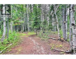 Elk Ridge Adventure Park, Elk Ridge, SK S0J2Y0 Photo 28