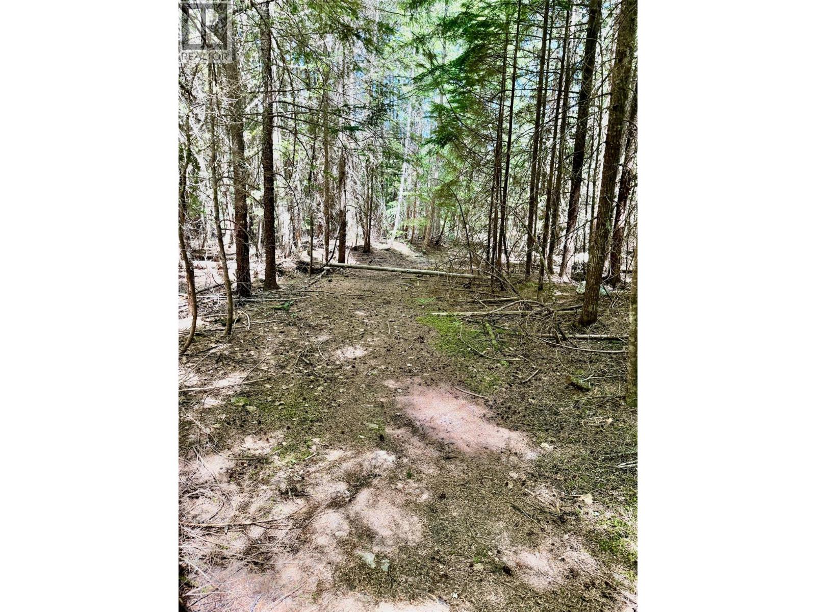 4019 Saunders Road - 32
