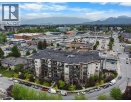 202 22577 Royal Crescent, Maple Ridge, BC V2X2M2 Photo 33
