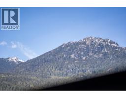 3a 2230 Eva Lake Road, Whistler, BC V8E0M5 Photo 20