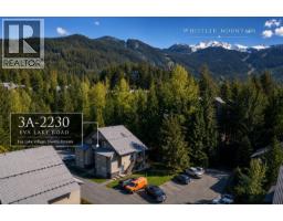 3a 2230 Eva Lake Road, Whistler, BC V8E0M5 Photo 24