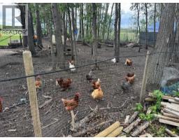 383034 B&c Range Road 42, Rural Clearwater County, AB T0M0X0 Photo 20