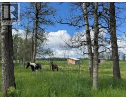 383034 B&c Range Road 42, Rural Clearwater County, AB T0M0X0 Photo 23